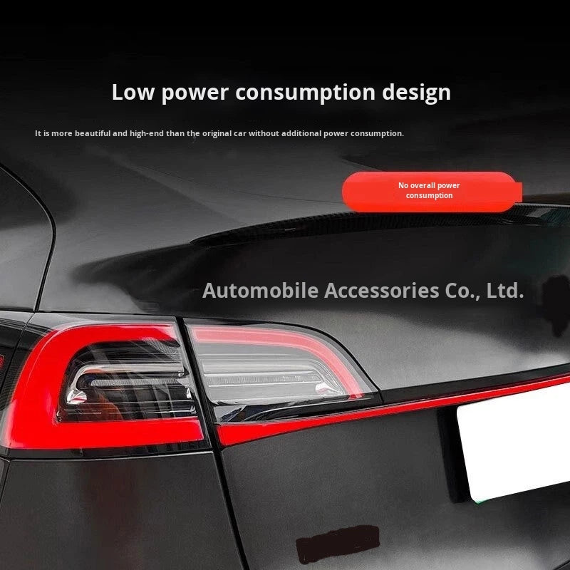 LED Through Tail Lamp for Tesla Model 3/Y