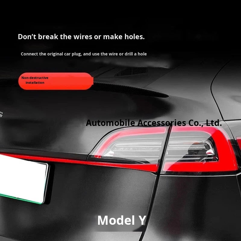 LED Through Tail Lamp for Tesla Model 3/Y