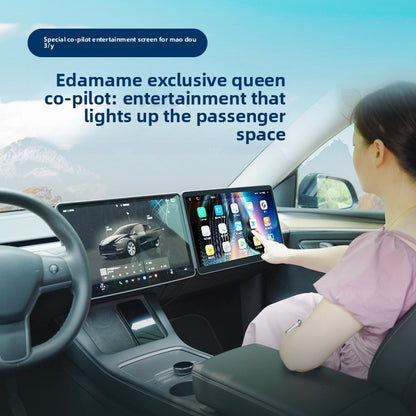 Capacitive Touch Screen for Tesla Model 3/Y Passenger Side